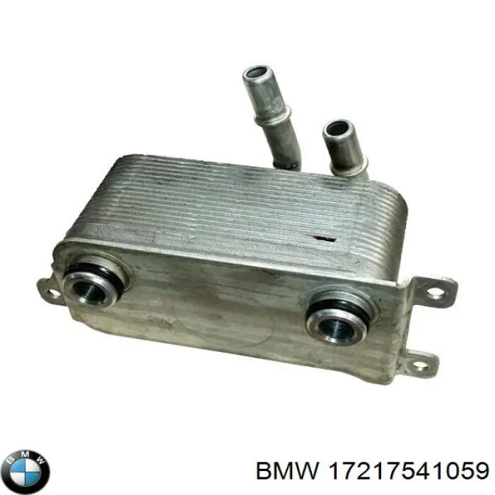 17217541059 BMW 