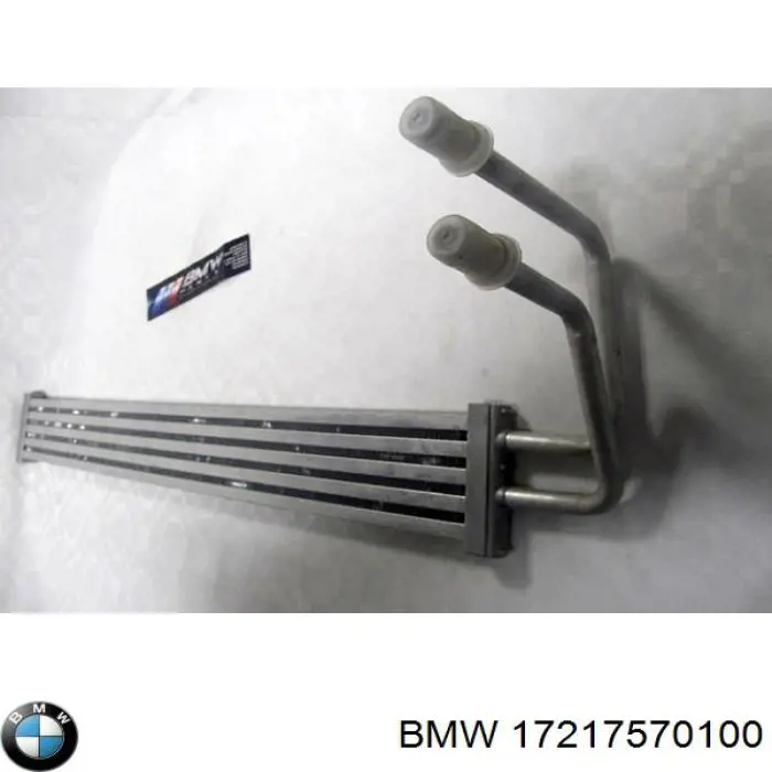 Радіатор гідропідсилювача 7570100 BMW