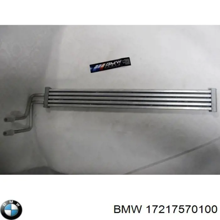 7570100 BMW Радіатор гідропідсилювача