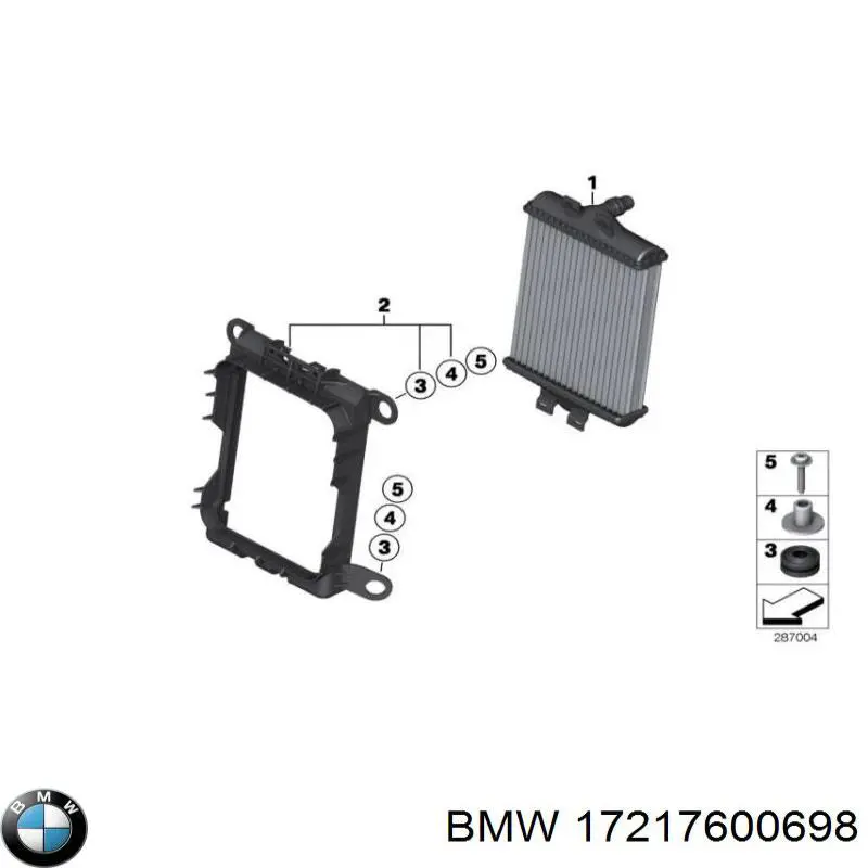 17217600698 BMW 