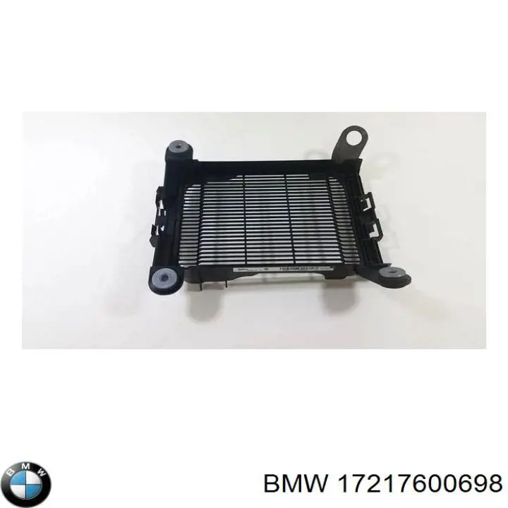 Купити 17217600698 BMW 