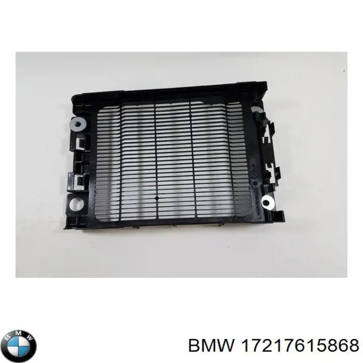  17217615868 BMW