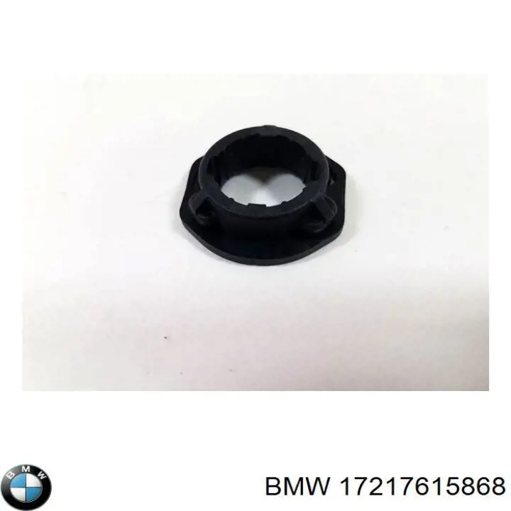 Купити 17217615868 BMW 