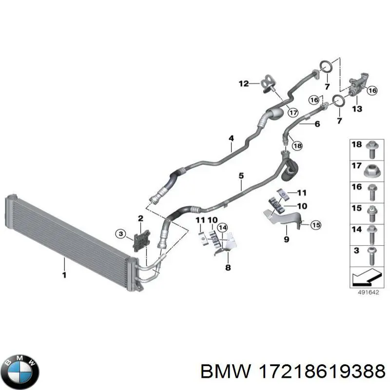  17218619388 BMW