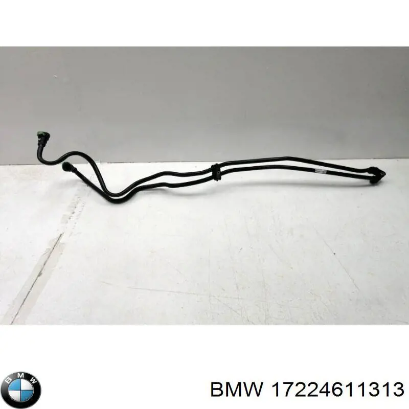  17224611313 BMW