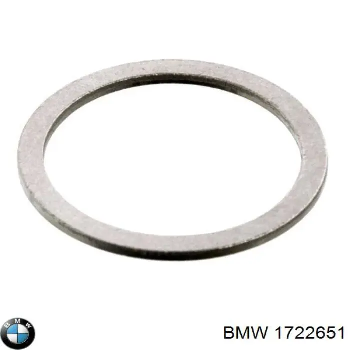 Купити 1722651 BMW Заспокоювач ланцюга ГРМ, верхній ГБЦ