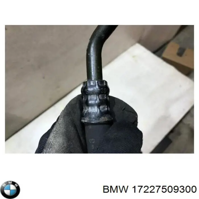  BMW 17227509300