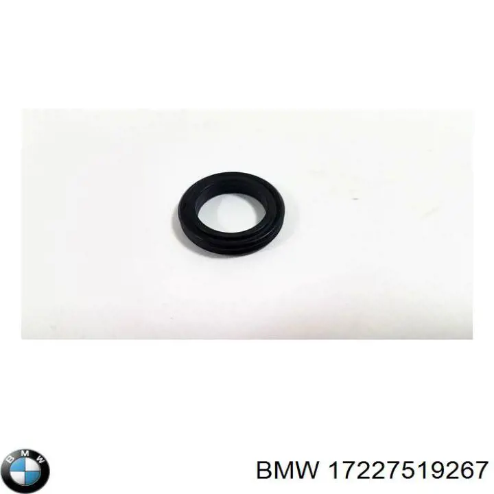 Трубка/шланг масляного радіатора, від блоку до радіатора BMW 17227519267 ціна, від 356.97 USD