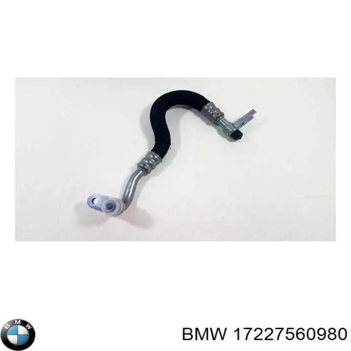 17227560980 BMW 