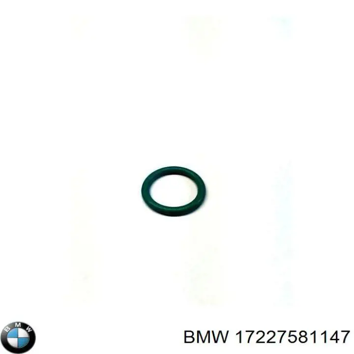 17227581147 BMW Прокладка кришки горловини, маслозаливної