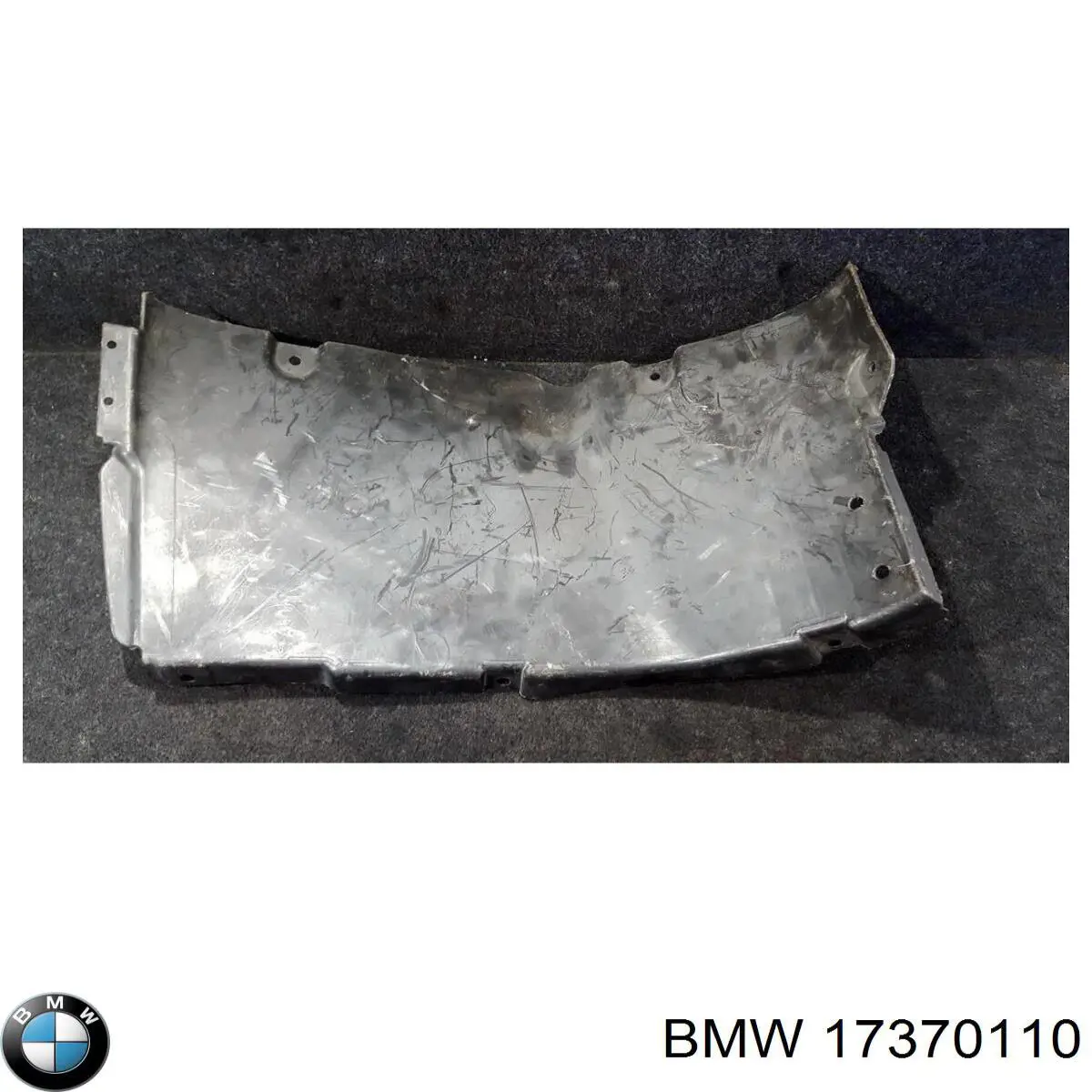 17370110 BMW 