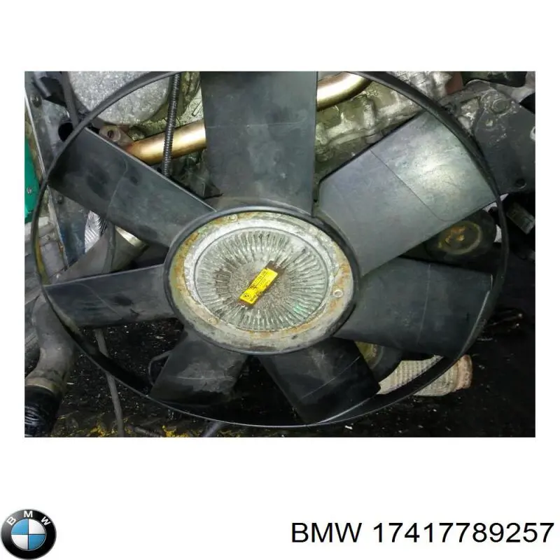 17417789257 BMW 