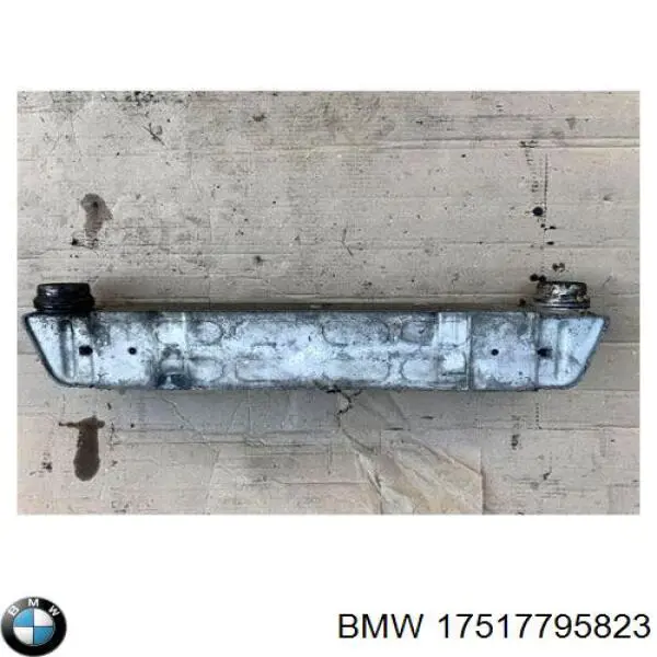 Система охолодження наддувочного повітря BMW 17517795823 ціна, від 104.74 USD