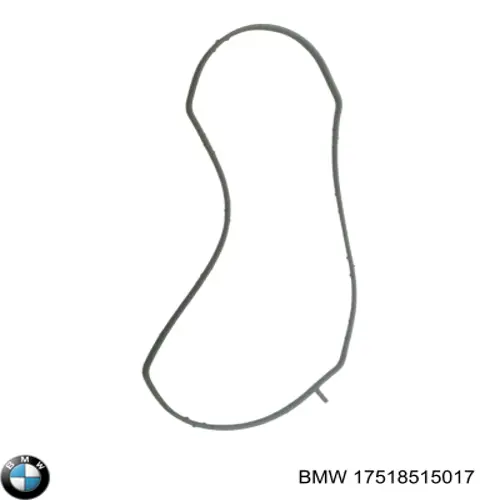 Кільце ущільнювача патрубка интеркуллера BMW 17518515017 ціна, від 20.12 USD
