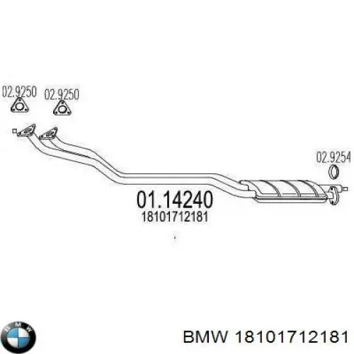 Купити 18101712181 BMW 