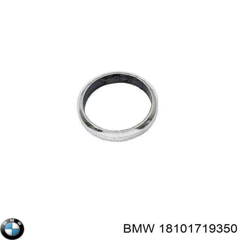  18101719350 BMW