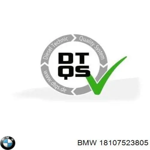 Гайка маточини задньої BMW 18107523805