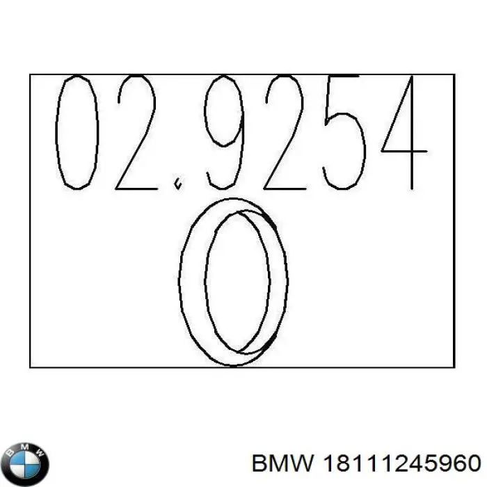 18111245489 BMW Нейтралізатор