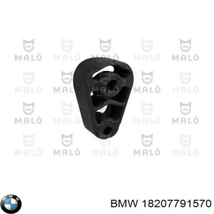  18207791570 BMW