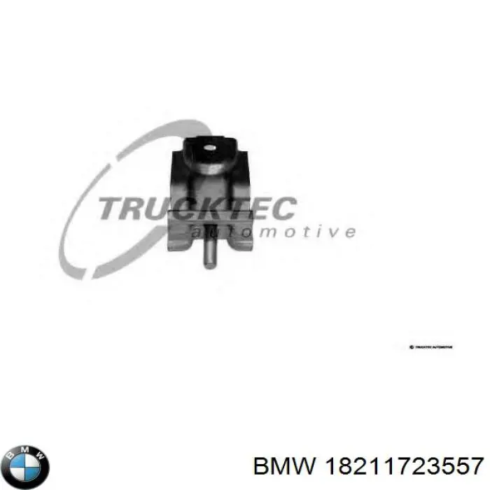  18211723557 BMW