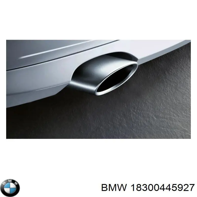 Купити 18300445927 BMW 