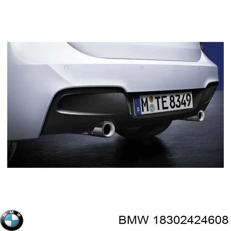 Купити 18302424608 BMW 
