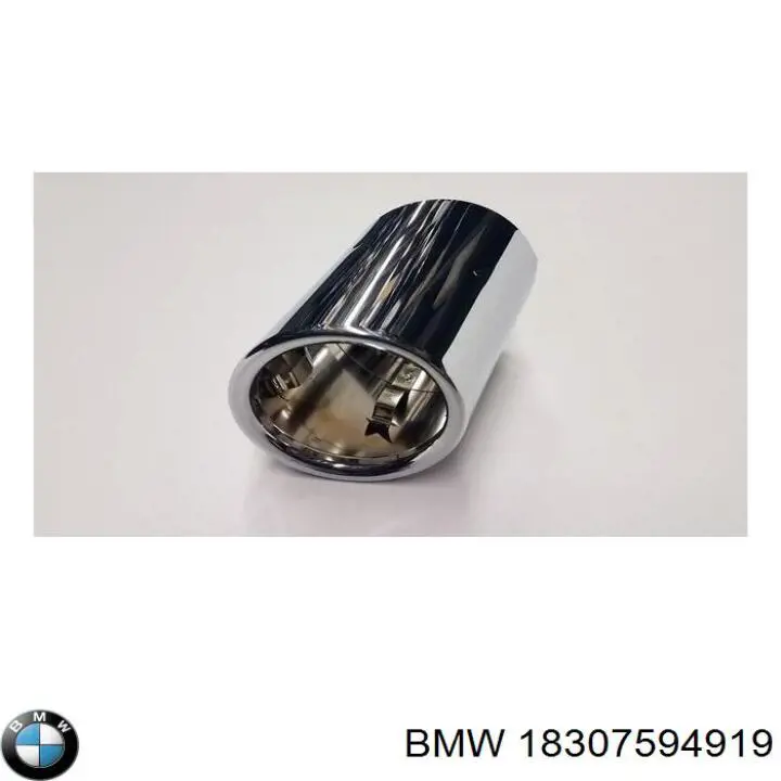 Пристрій іскропогашуючий BMW 18307594919 ціна, від 31.67 USD