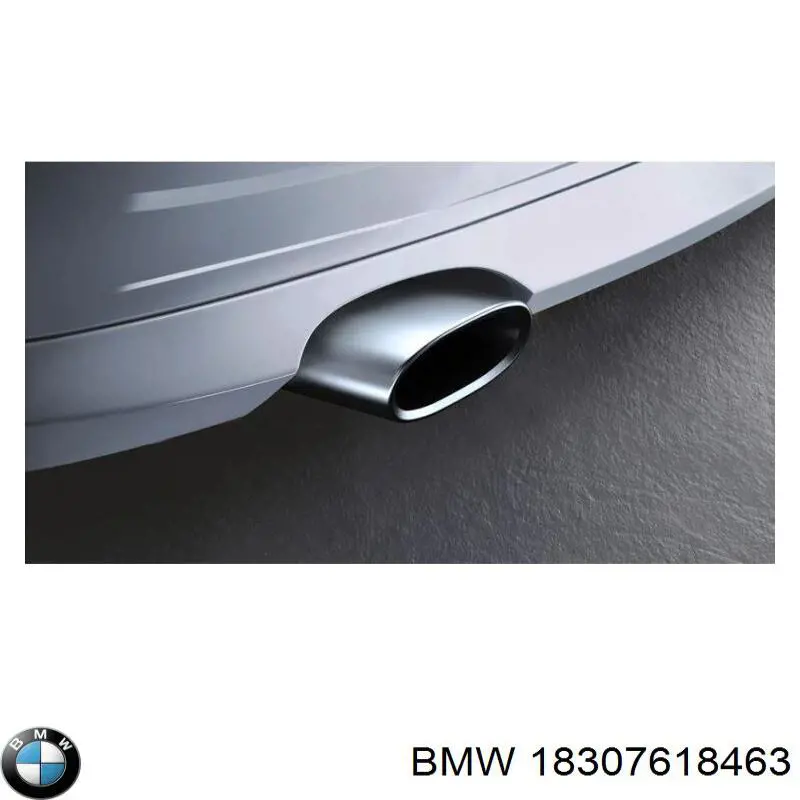 18307618463 BMW Глушилка