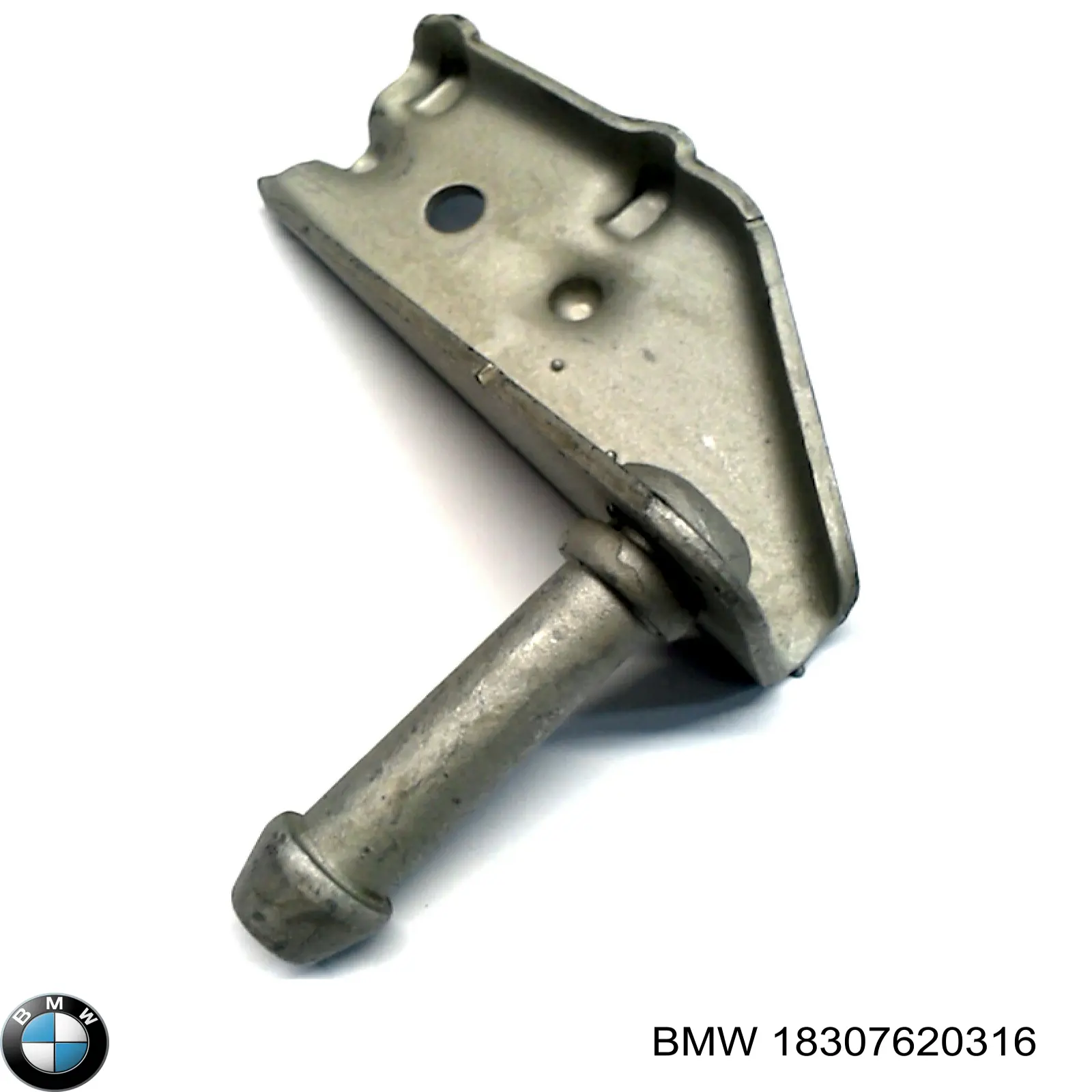 Купити 18307620316 BMW 