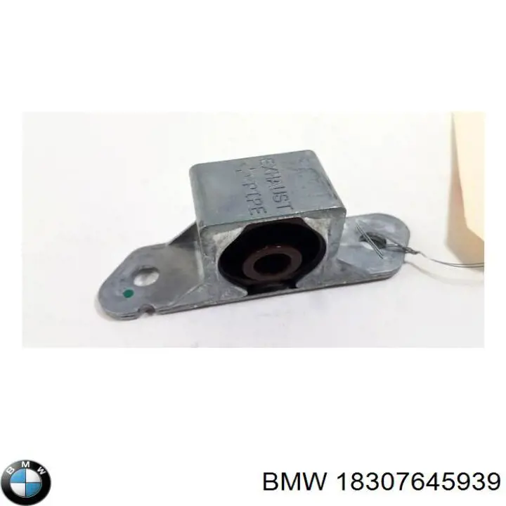 Купити 18307645939 BMW Вихлоп
