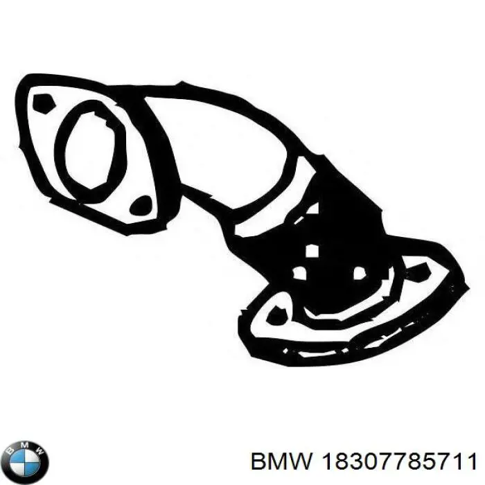 Штани глушника передні на BMW X5 (E53)