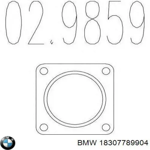 Купити 18307789904 BMW Прокладка фільтра сажі передня