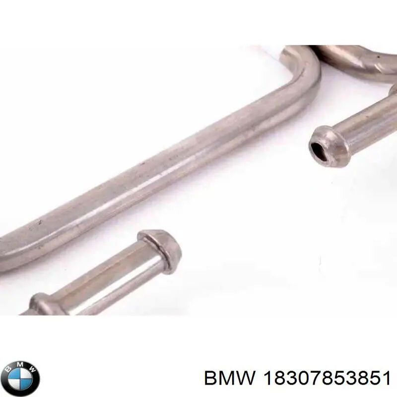 Купити 18307853851 BMW 