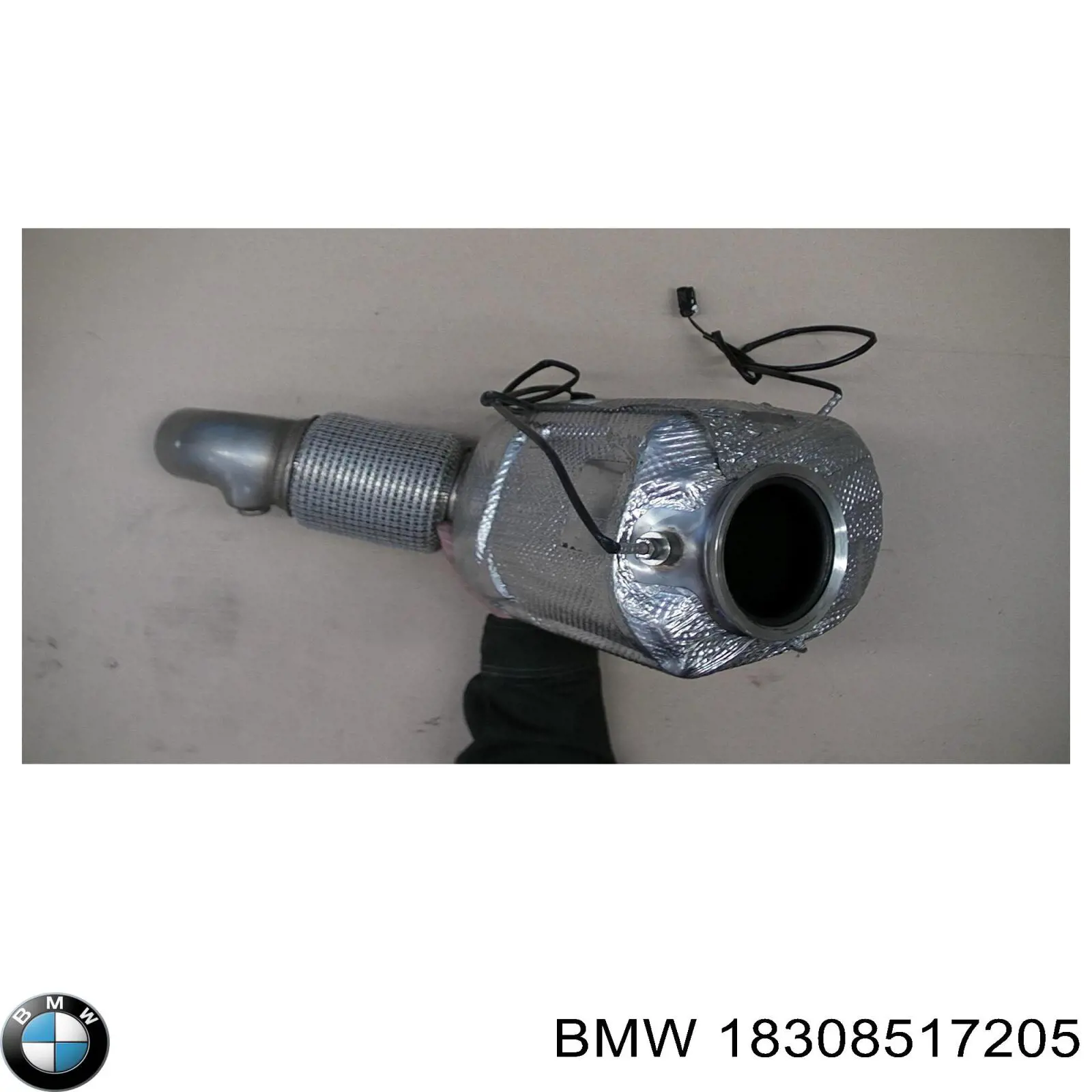  18308517205 BMW