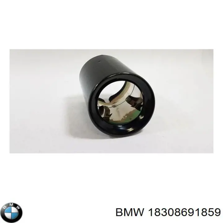 Насадка на глушник BMW 18308691859 ціна, від 106.58 USD