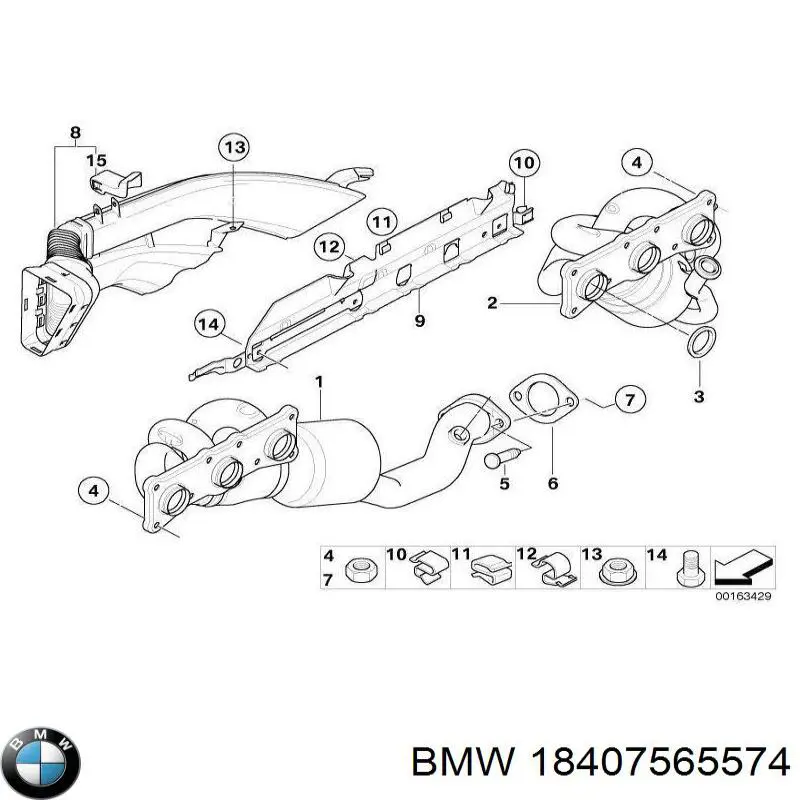 18407565574 BMW 