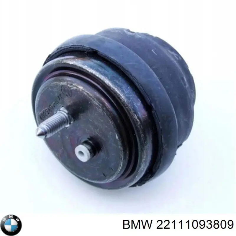  22111093809 BMW