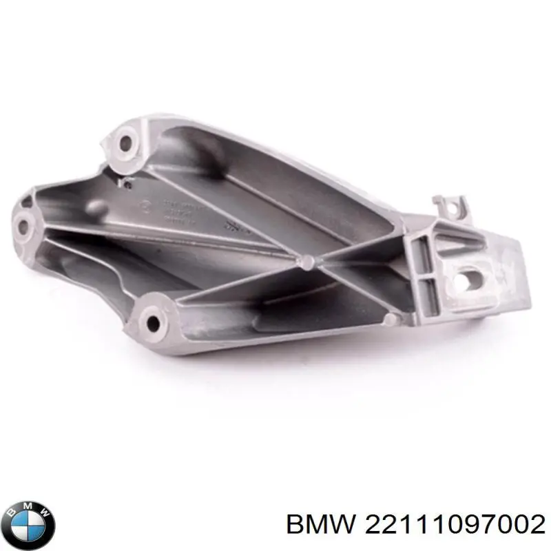 Купити 22111097002 BMW 