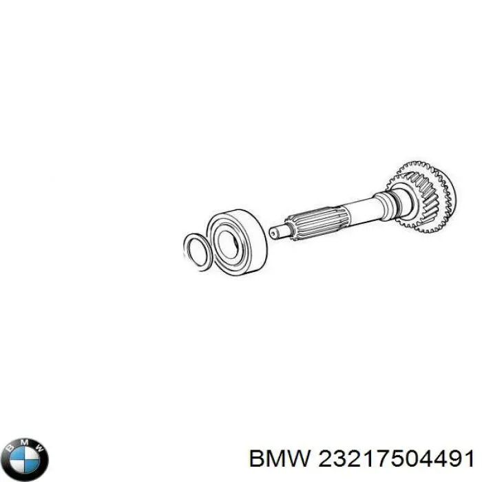 23217504491 BMW 