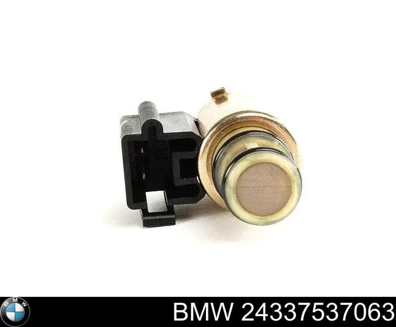 24337537063 BMW 