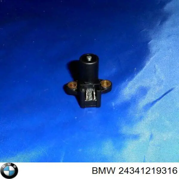  24341219316 BMW