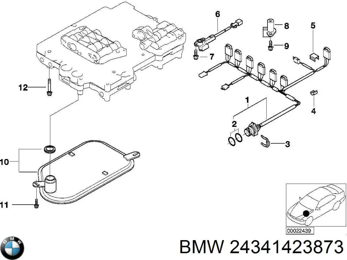 24341423873 BMW 