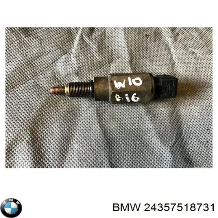 24357518731 BMW 
