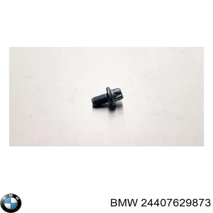  BMW 24407629873 ціна, від 2.99 USD