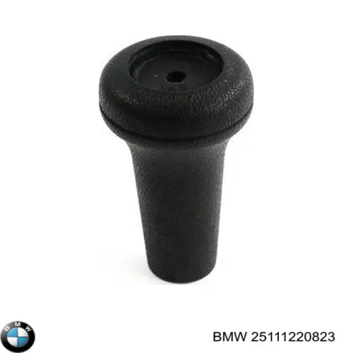 25111220823 BMW 
