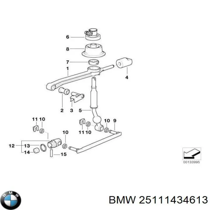 25111434613 BMW 