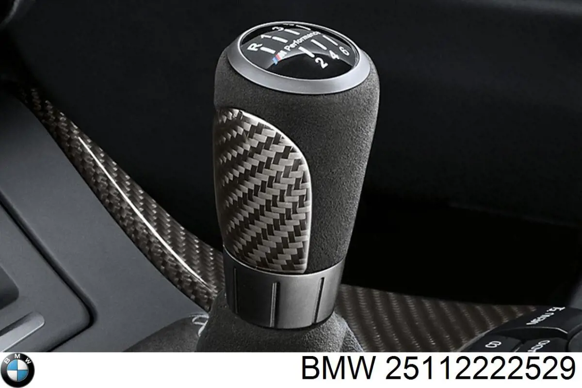  25112222529 BMW