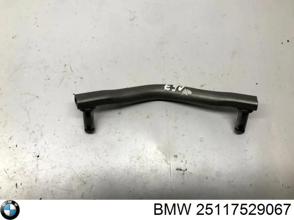 25117529067 BMW 