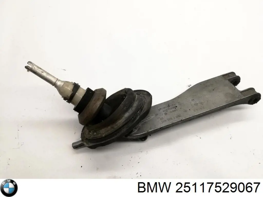  BMW 25117529067 ціна, від 55.43 USD