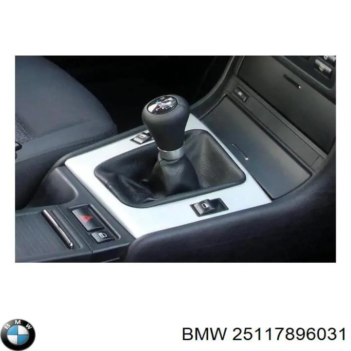  25117896031 BMW